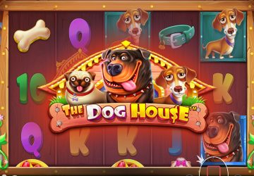 Microgaming - игровой автомат онлайн от Various с RTP 95.46%
